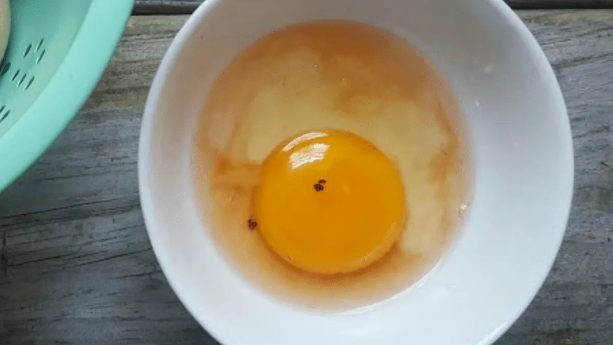 La macchia rossa nelle uova: miti e realtà